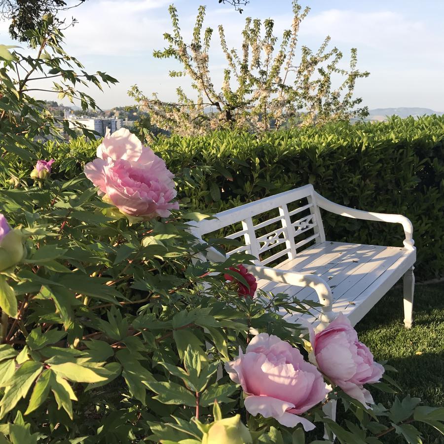 Aparthotel Residenza Ambrogi Urbino Exterior foto